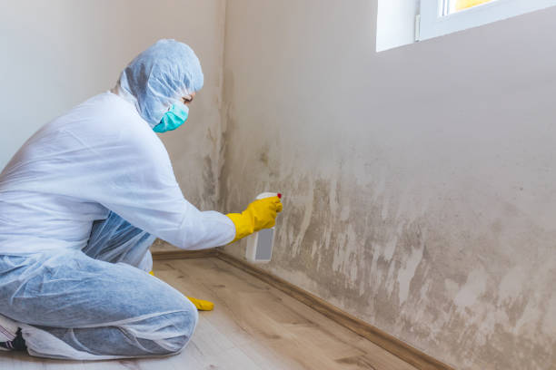 Best Mold Removal Process  in Georgetown, GA