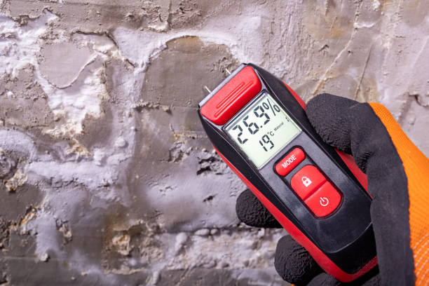 Mold Removal Process in Georgetown, GA