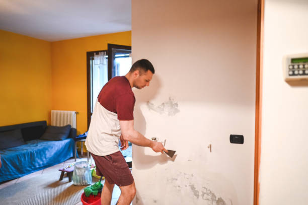 Best Attic Mold Removal  in Georgetown, GA