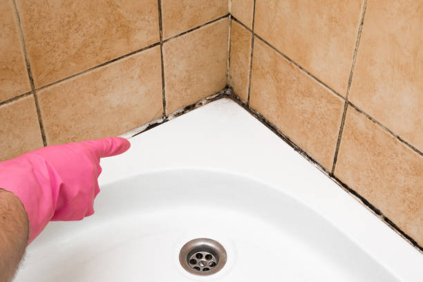 Best Mold Removal Near Me  in Georgetown, GA